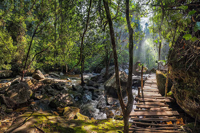 travel to Cambodia, national parks Cambodia