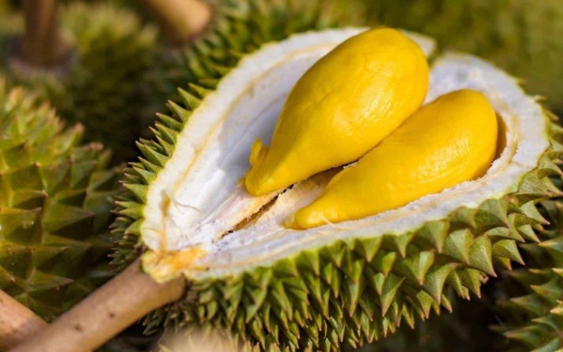 Premium Ri6 durian from the Mekong Delta with signature bright yellow flesh and creamy texture