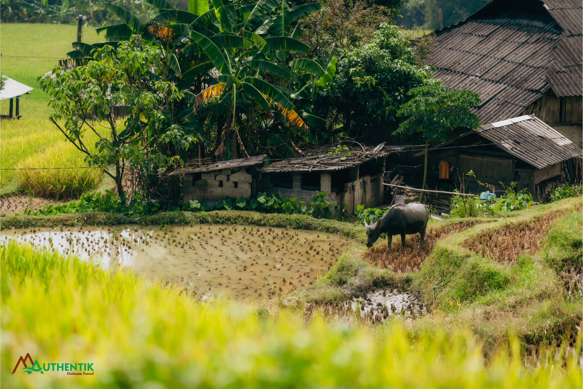 The highlight of the first day isn't a specific landmark but the journey itself