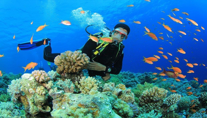 poulo condore, vietnam, con dao, penal colony of Poulo Condore, Con Dao national park