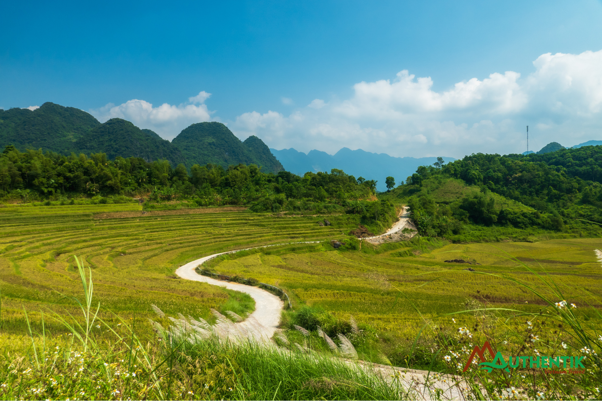 Trekking through terraced fields in Pu Luong during the best time to visit Vietnam