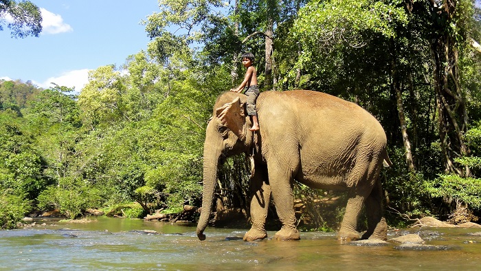 Hiking trekking guide Cambodia, Cambodia travel, Cambodia tour