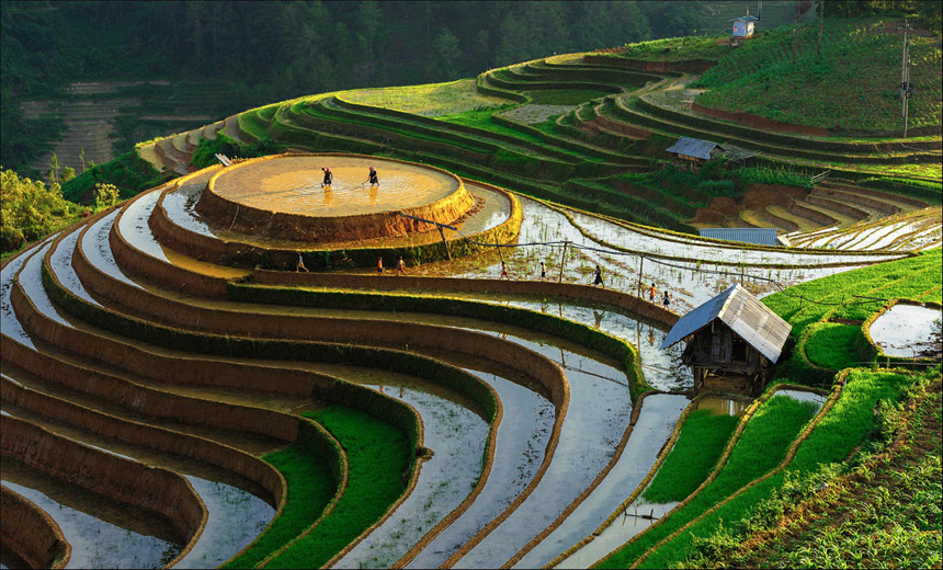 Mu Cang Chai in the watering season