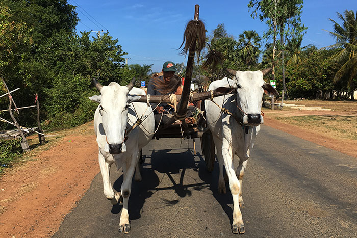 Kampong Chhnang city, Oudong, Tonle Sap river, Tralach, Cambodia travel