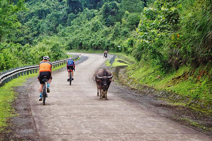 north Vietnam, Fansipan Mountain, hiking in Vietnam, cycling in Vietnam, halong, lan ha, ha giang, dong van, fansipan, phong nha ke bang, Mekong delta, con dao, phu quoc, nha trang, hoi an