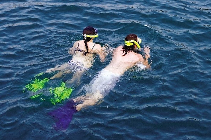 attractions halong bay top 15 halong bay must-sees halong bay diving lan ha bay 