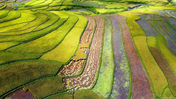 15 beautiful places vietnam, top 15 places vietnam, cnn top 15 places vietnam, vietnam beautiful destinations, than uyen rice field