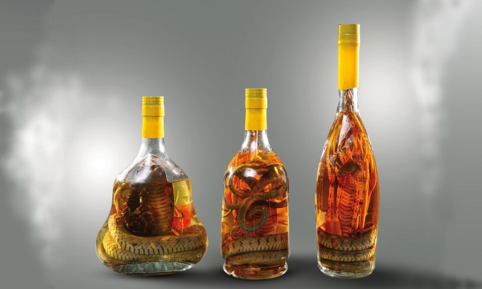 vietnamese souvenirs, vietnamese gift, vietnamese decoration, taste of vietnam, gift from trip, vietnam snake alcohol