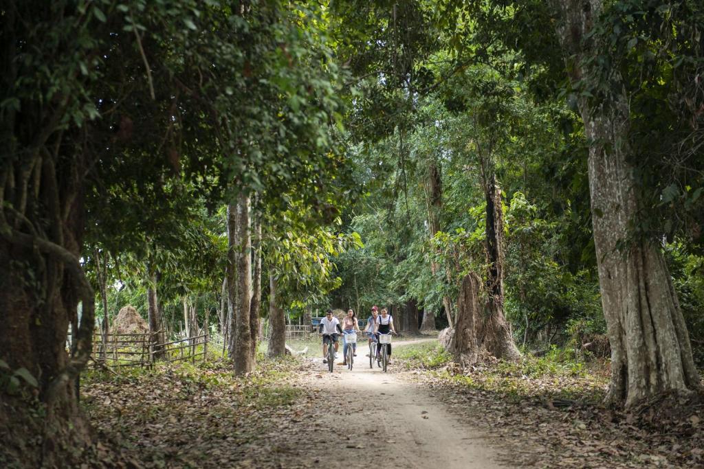 bike ride champasak, must do activity in southern laos, pakse laos