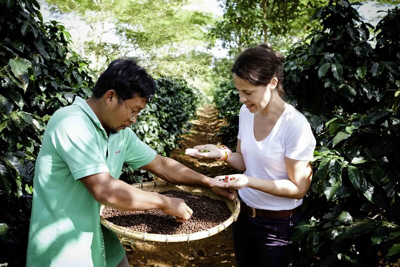 coffee plantation in bolaven plateau laos, pakse laos, must visit destination in southern laos, must do activity in southern laos