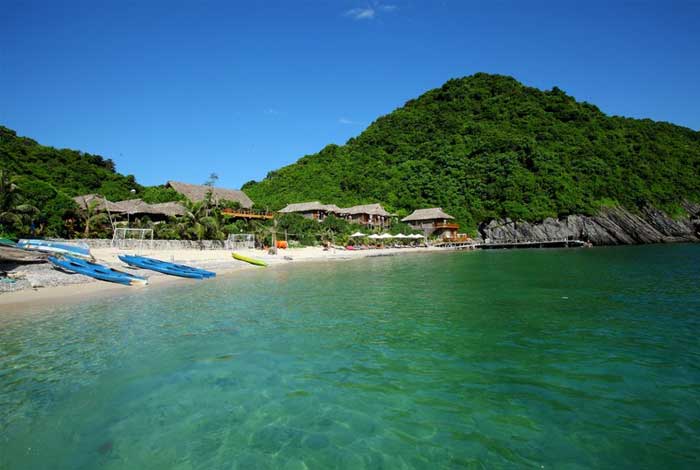 cat ba island monkey island