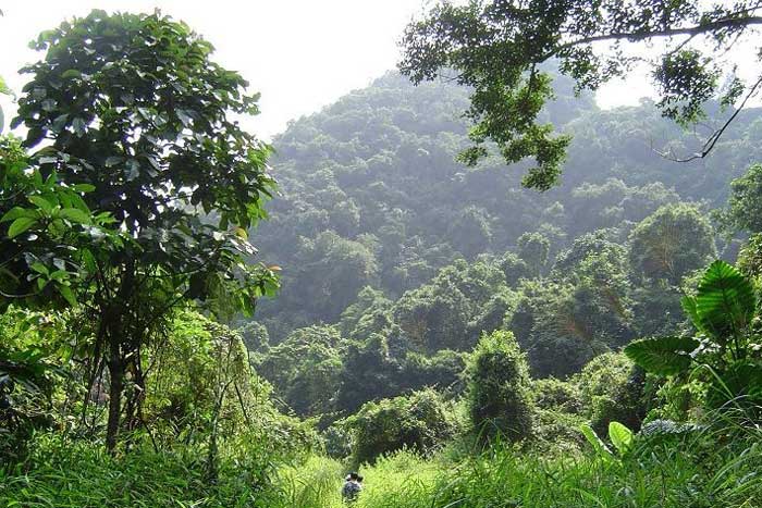 cat ba island national park