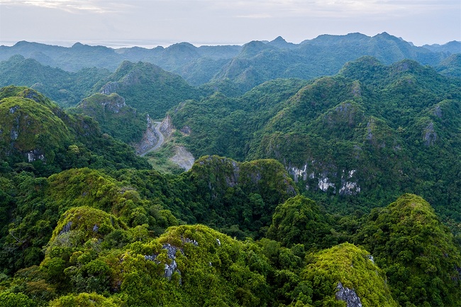 cat ba national park