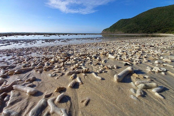 Con Dao islands, vietnam beach