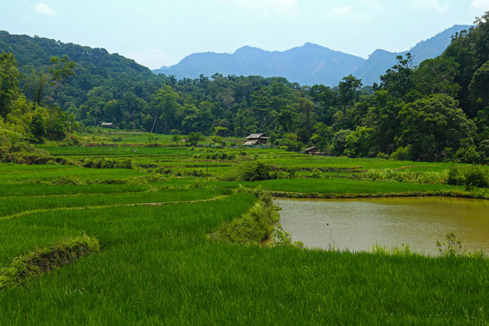 countryside dien bien phu