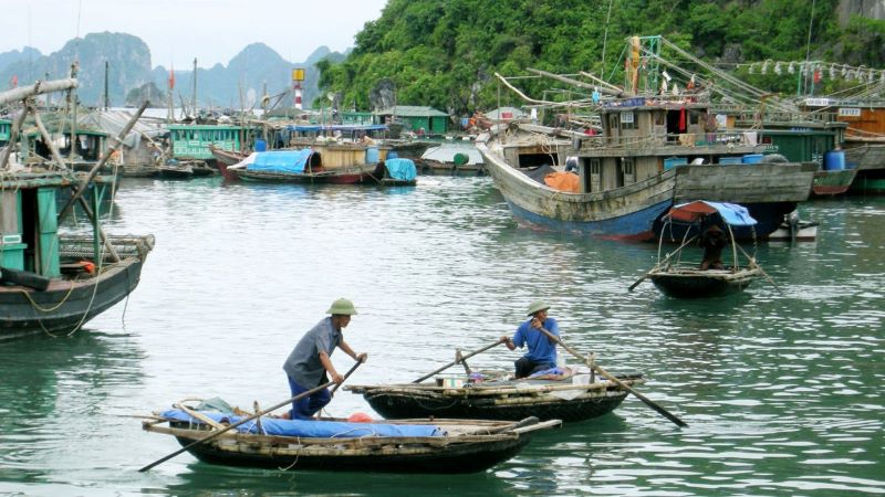 cruise halong bay 3 days 2 nights fisherman cua van