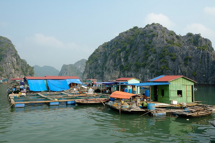 cruise halong bay 3 days 2 nights floating house cua van village