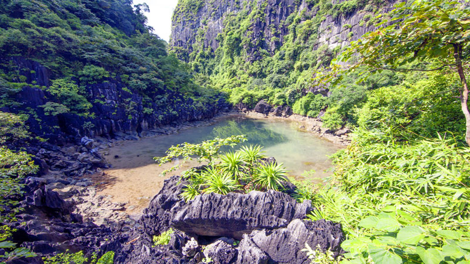 cruise halong bay 3 days 2 nights ho dong tien cave halong bay boat trip