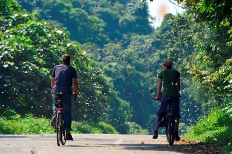 cuc phuong national park ninh binh butterfly