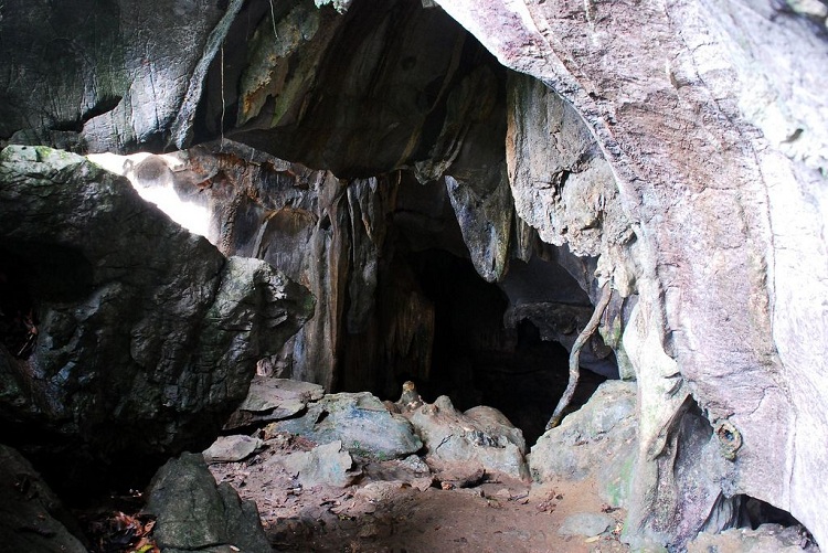 cuc phuong national park ninh binh cave