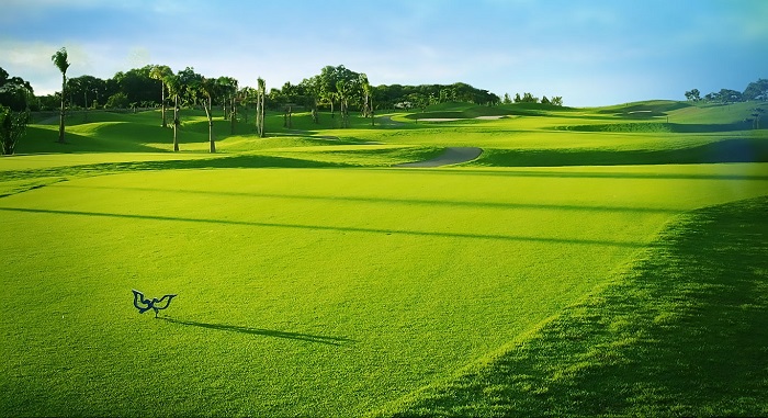 golf courses vietnam, best destinations for golf vietnam, vietnam golf trip, twin doves club