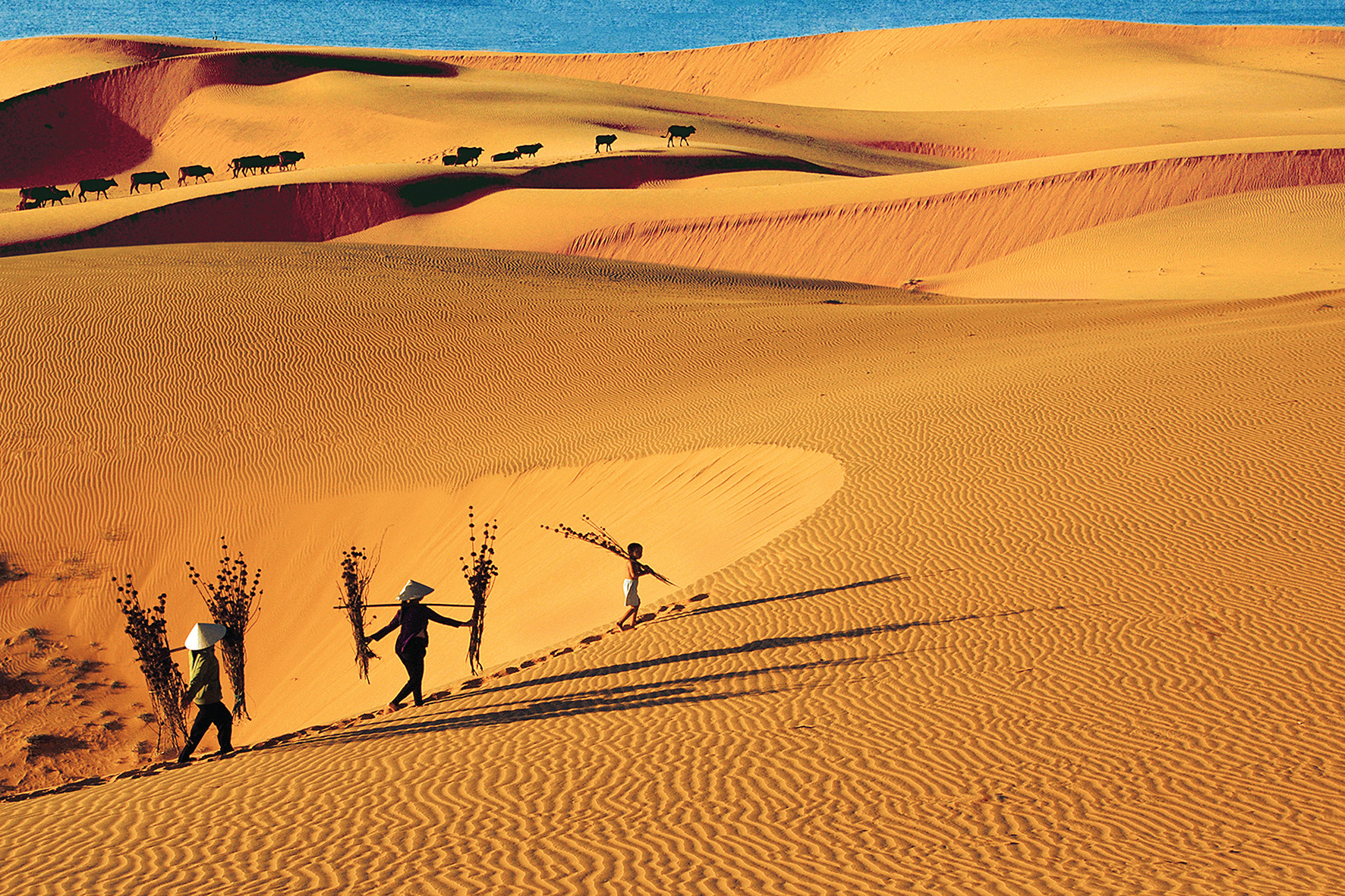 Sand dunes in Mui Ne, Vietnam