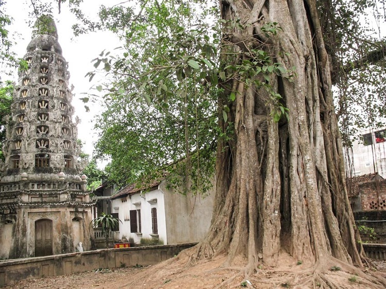 duong lam village hanoi mia pagoda