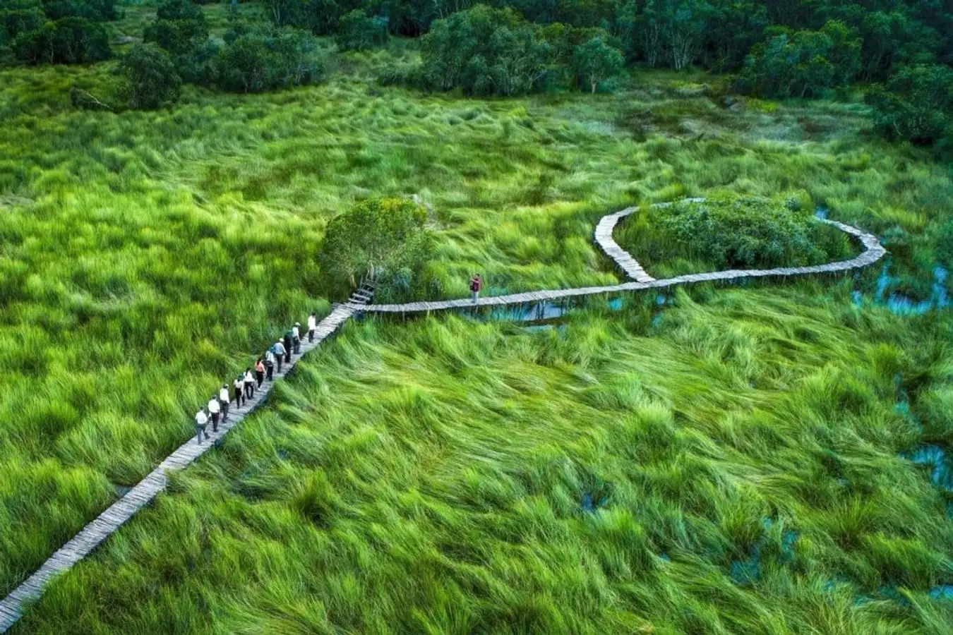 endless field long an, mekong delta