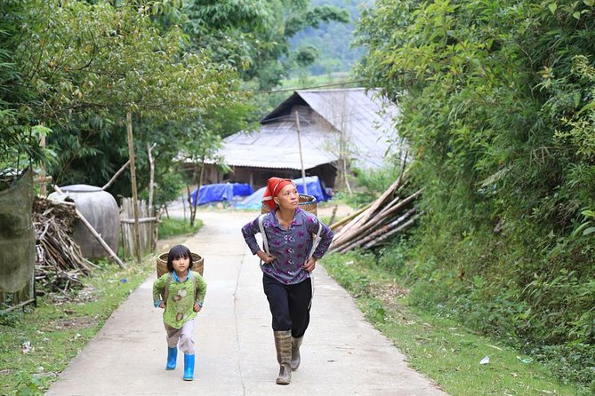 Sapa, Hoang Lien Son, Hoang Lien national park, north vietnam