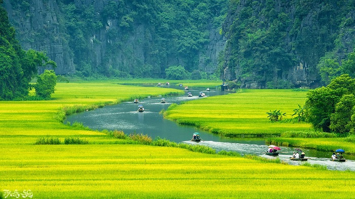 ecotourism, vietnam ecotourism, travel experiences, vietnam adventure trip, river vietnam