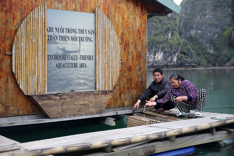 fishing village culture halong bay floating village aquaculture