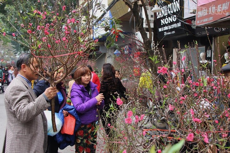 flower market hanoi hang luoc