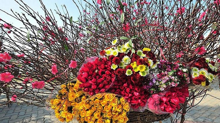 flower market hanoi tet festival