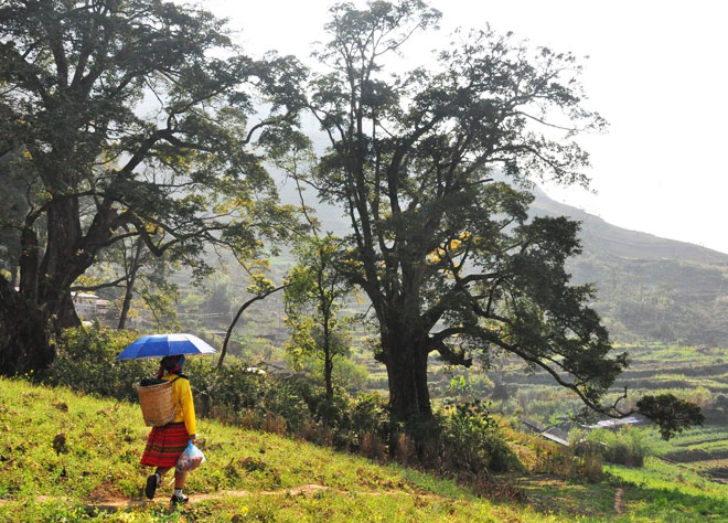 ha giang thien huong village road