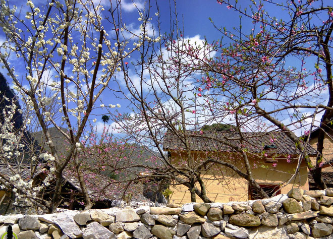 ha giang thien huong village traditional house