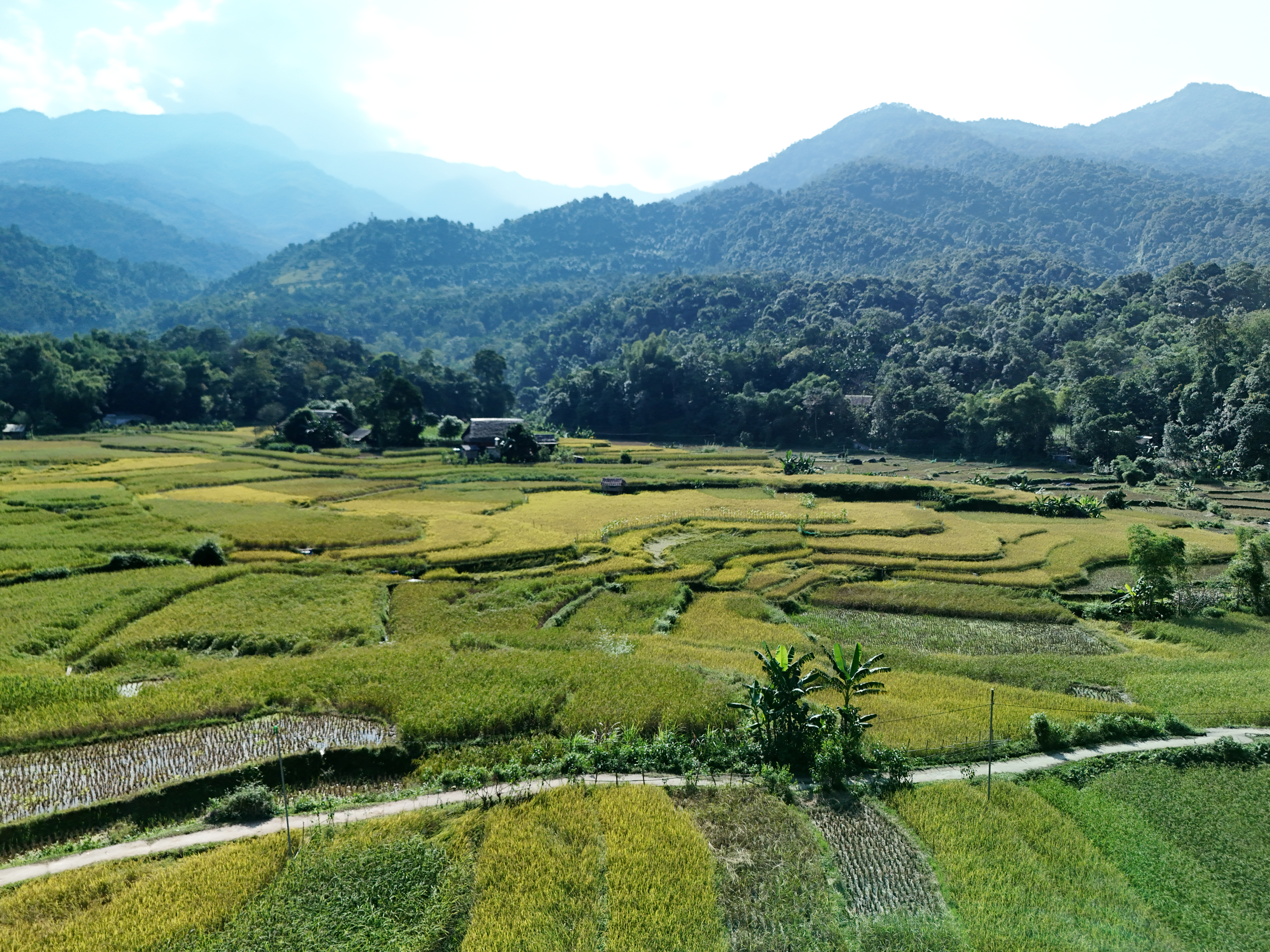 Ha Thanh Village. Photo: Authentik Vietnam