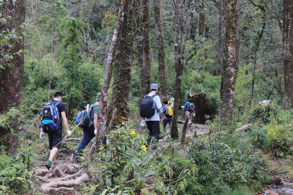 Sapa, Hoang Lien Son, Hoang Lien national park, north vietnam