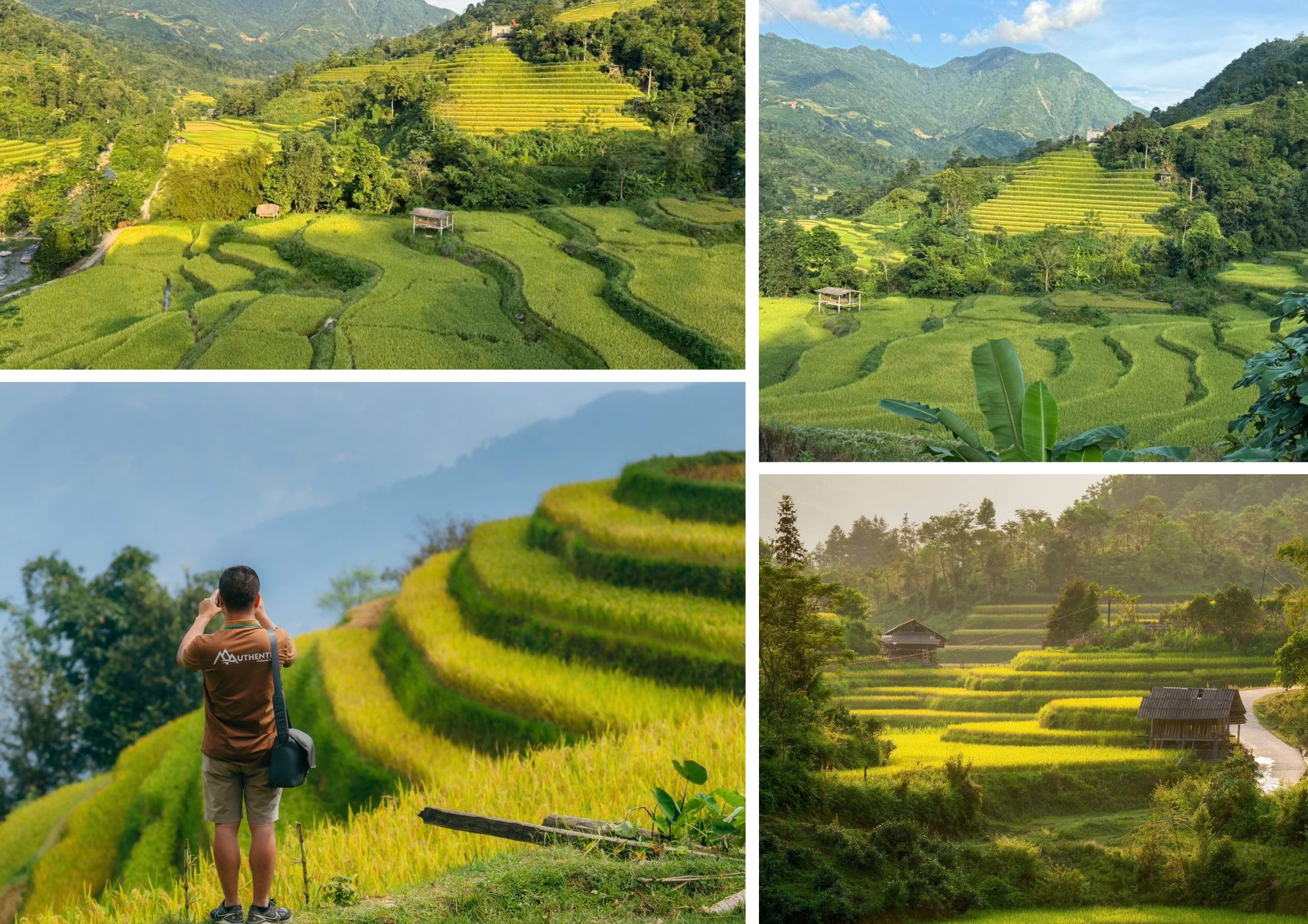 northeast vietnam, hoang su phi rice terraces, northeast vietnam must visit 