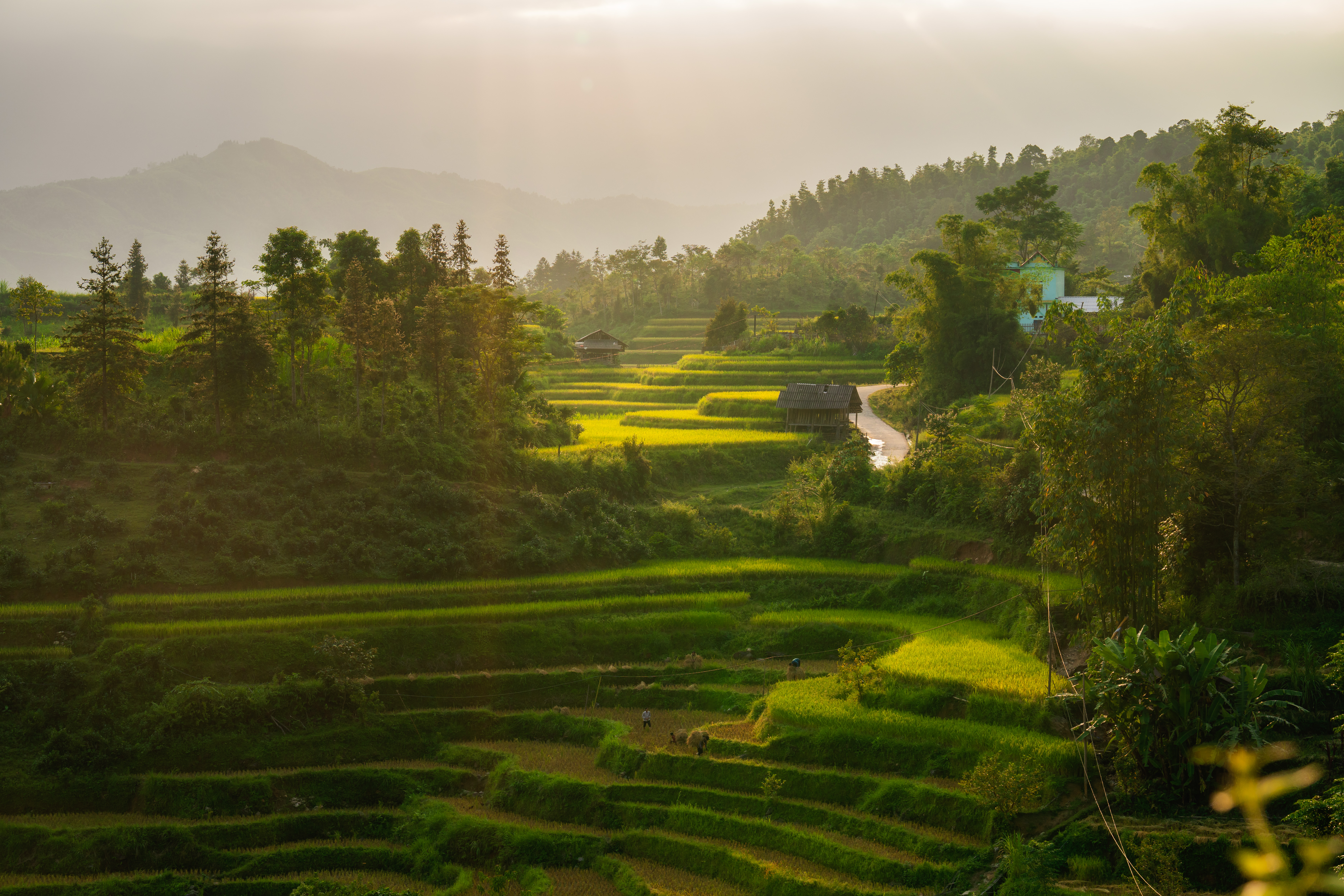 Hoang Su Phi in Ha Giang has one of the best rice terraces in Vietnam