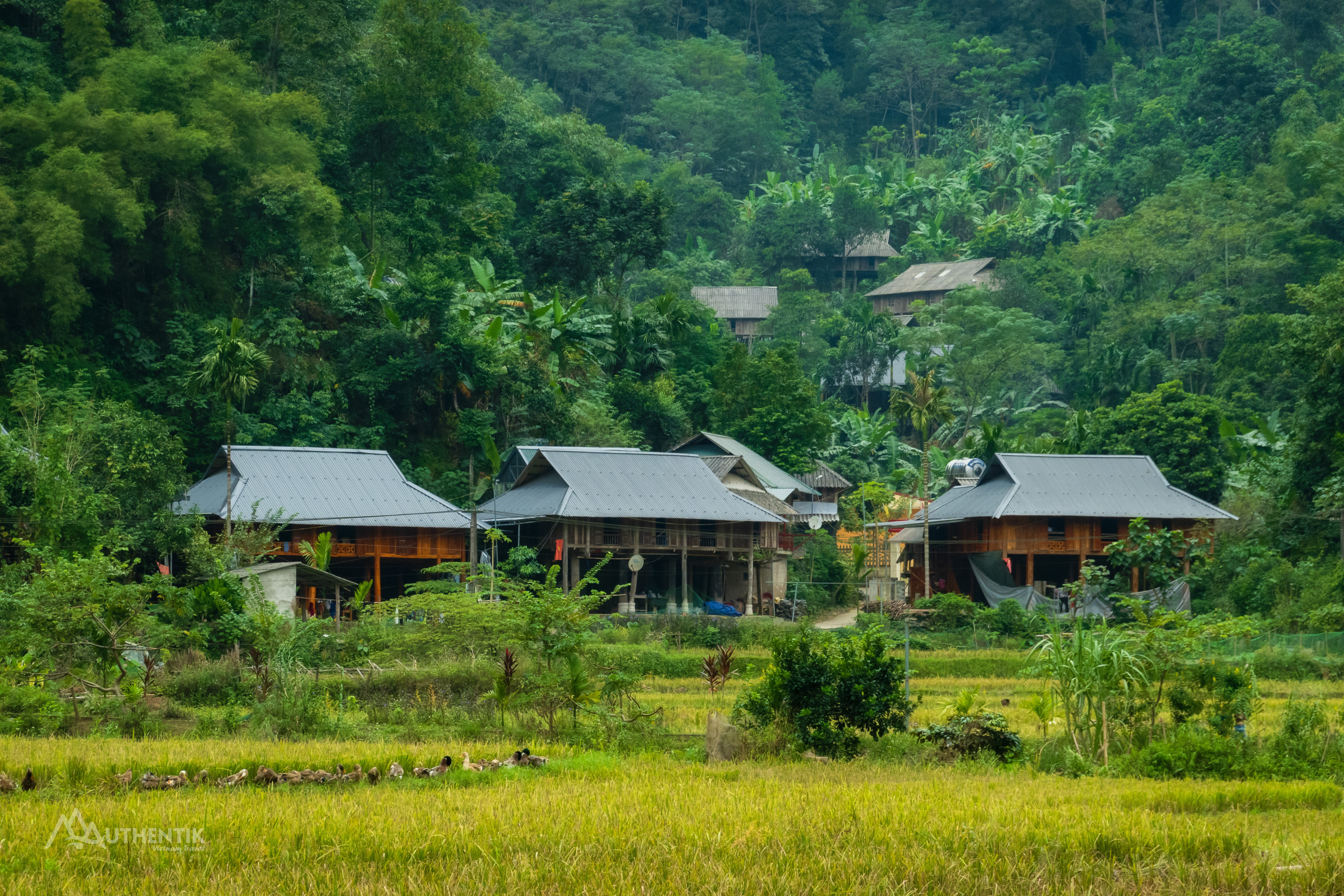 Winding rugged road to pristine Kho Muong village in Pu Luong