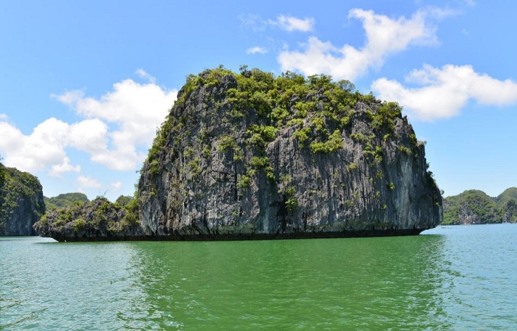 lan ha bay turtle islet