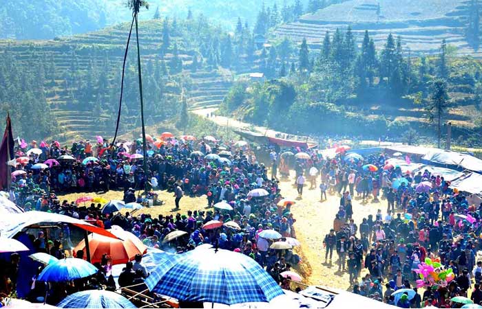 lao cai sapa gau tao festival