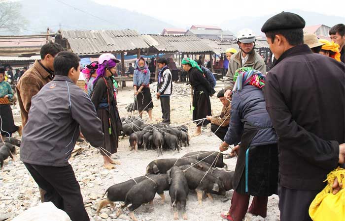 lao cai sapa sin cheng market