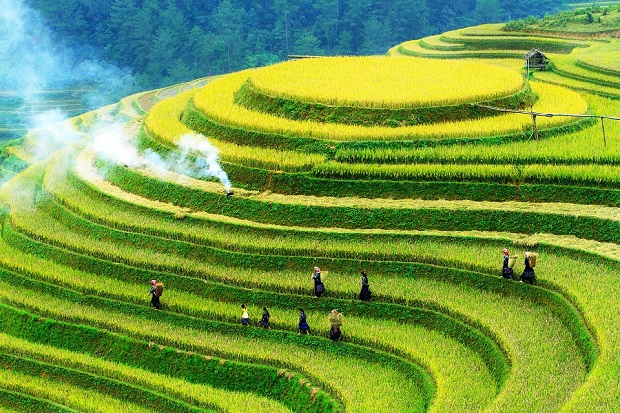 Mù Cang Chải: Golden Rice Terraces and the Charm of Slow Travel