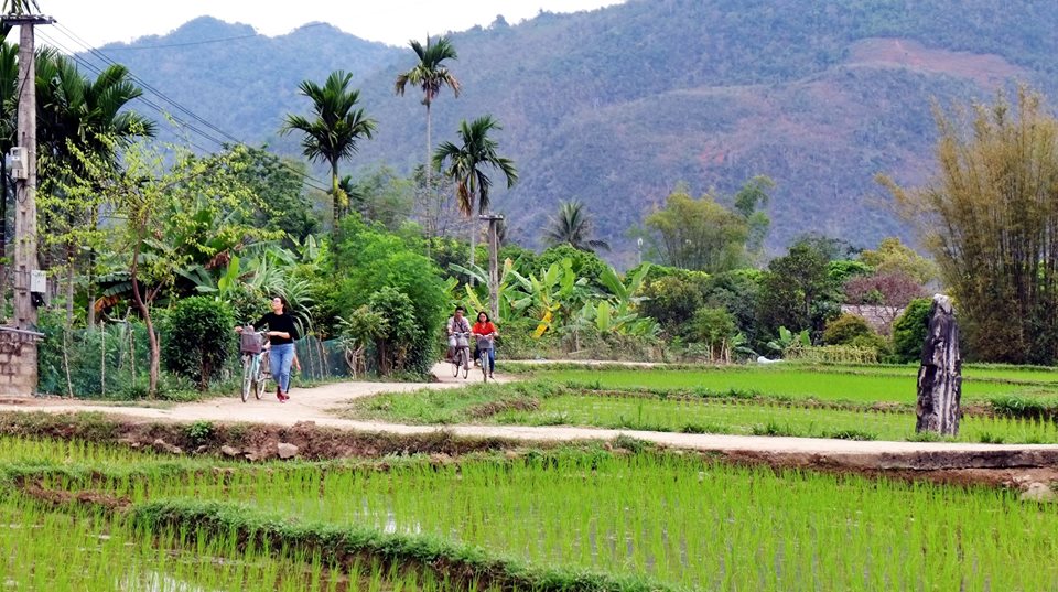 hoa binh, mai chau, mai hich