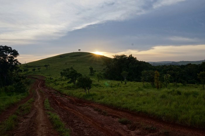 Mondulkiri, Sen Monorom, Elephant Valley Project, Phnong, Bunong, Bousra Waterfalls, Romanear Waterfall, Dak Dam Waterfall, Chrey Thom Waterfall, Mondolkiri Elephants, Cambodian Coffee