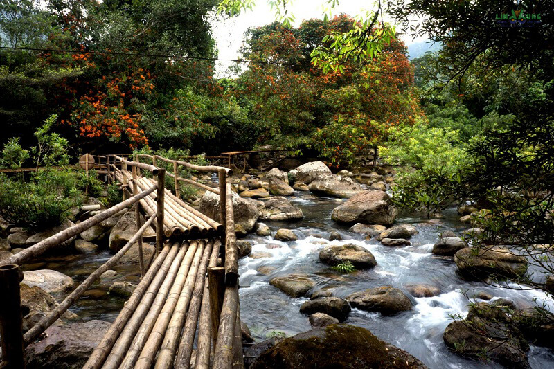 Mooc Spring offers picturesque opportunities for an easy walk and exploration through its pristine natural environment