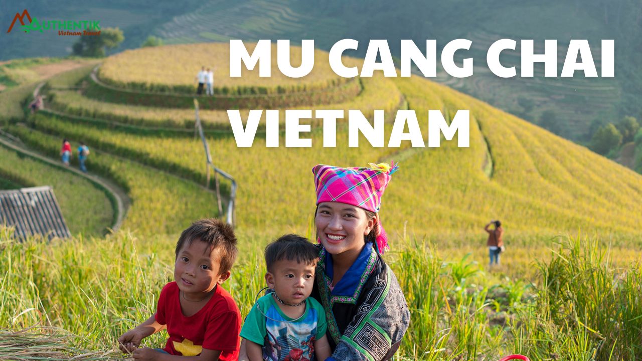 golden rice season, rice terrace, rice field, vietnam rice, vietnam landscapes, top 8 rice field in vietnam, mu cang chai vietnam