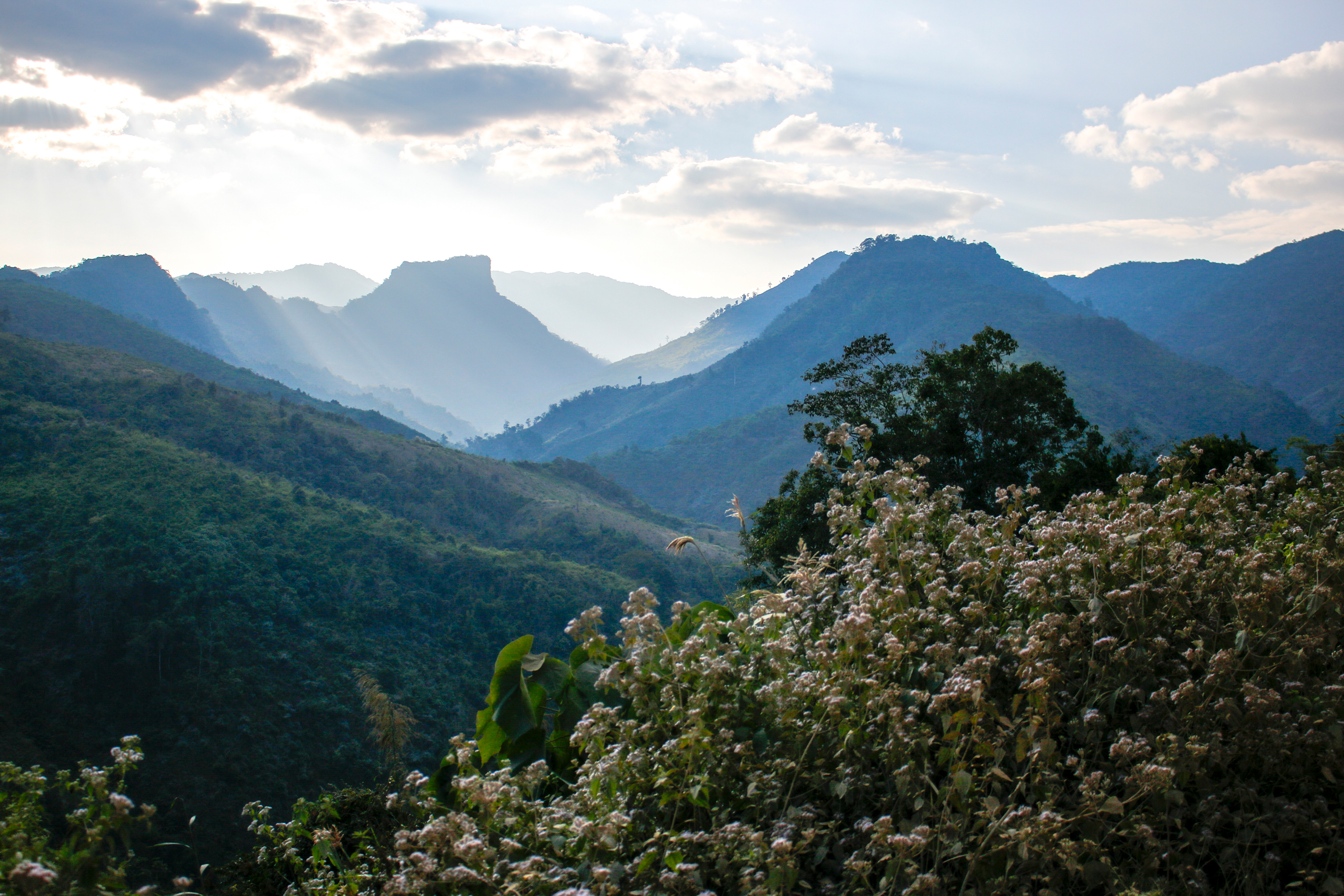 nam et phou louey national park, laos national park, top 7 most beautiful national parks in laos, best national parks in laos, laos travel