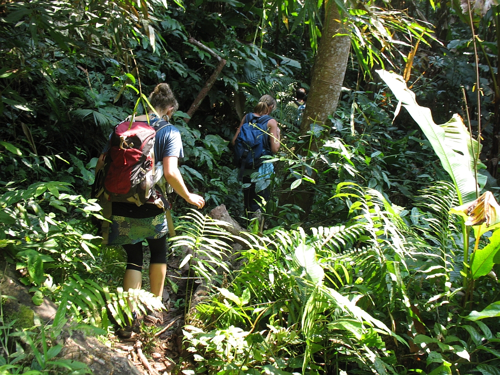 nam ha national park, laos national park, top 7 most beautiful national parks in laos, best national parks in laos, laos travel